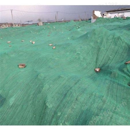 盖土防尘网 建筑工地盖土网 3针绿色盖土网 广州戈慕莱生产厂家批发