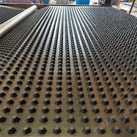 北海市种植屋面排水板 聚乙烯塑料排水板