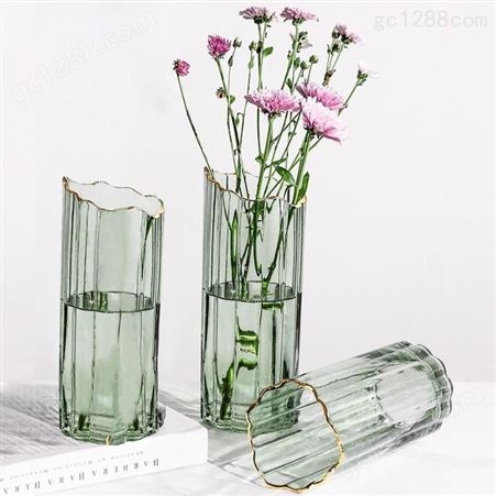 迅想 玻璃描金破口花瓶欧式透明玻璃轻奢桌面摆件富贵竹干花破口翠绿花瓶3877