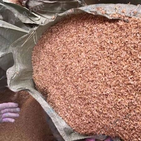 散装稻壳 菌类培养种植用稻壳 通风干燥储藏