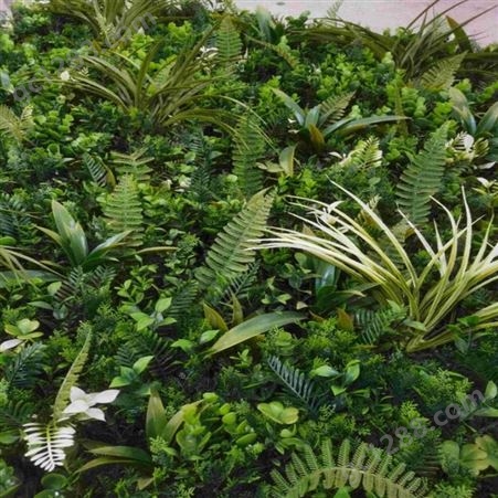 华州区室内植物墙 人造仿真绿植墙餐厅装饰背景墙 金森制作厂家