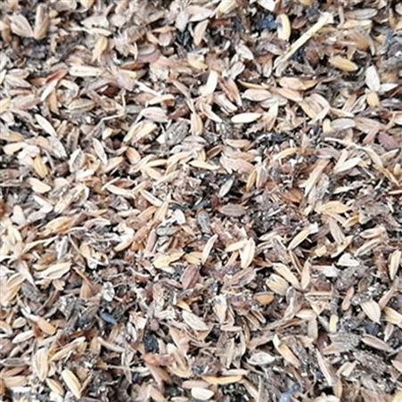 散装稻壳 菌类培养种植用稻壳 通风干燥储藏