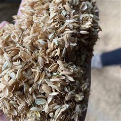 稻壳种植 酱油厂酿造用稻壳 养殖垫料边坡绿化