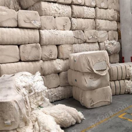 全国质优棉花 中长绒四级皮棉 厂家大量供应 各种规格棉花