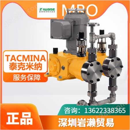 日本直驱隔膜计量泵FXD-003 进口电动测量泵 泰克米纳TACMINA