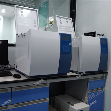 五种检测器可选择 GC-8900型气相色谱仪 开机自检 断气保护