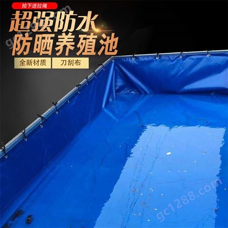 帆布水池 pvc材质 耐磨耐压耐晒 承载力强 鑫得旺篷布