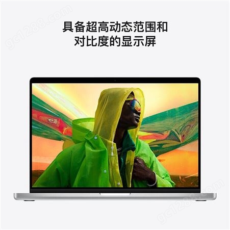 APPLE 苹果Apple MacBook Pro14 16英寸M1轻薄笔记本电脑2021新款