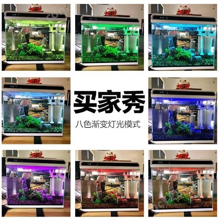 森森超白玻璃小鱼缸客厅 小型桌面家用水族箱 生态免换水金鱼缸