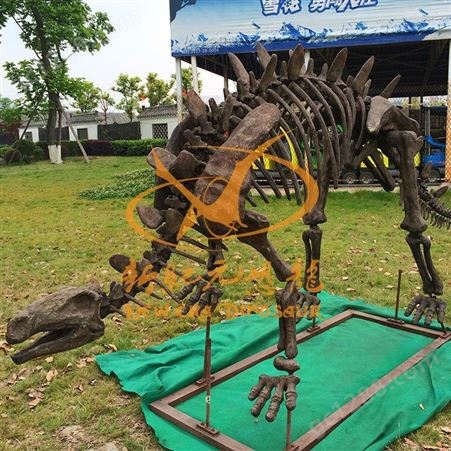 骨架新品大型仿真恐龙骨架动物化石模型树脂工艺品摆件公园景区博物馆