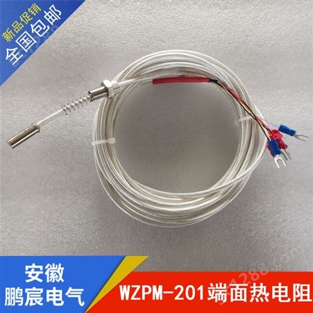 WZPM-201-6*18*1000mm-M8*0.75mm端面热电阻