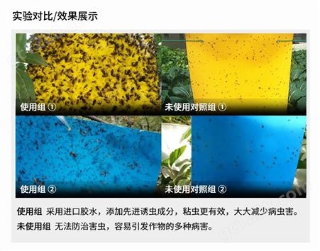 好棒粘虫板覆纸型黄板蓝板诱捕器诱虫剂粘虫挂板
