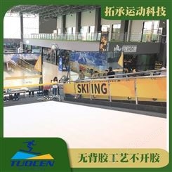 滑雪机安装滑雪模拟机供应跨地区服务  拓承TC