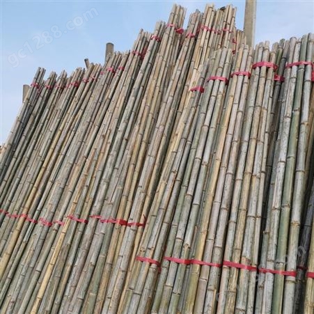 绿化苗木支撑竹 厂家直发 价格面议