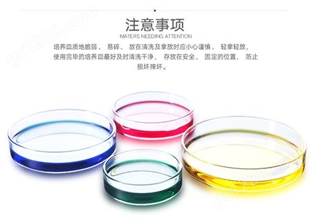 耐高温玻璃平皿 60 75 90 100 mm实验室高硼硅透明玻璃培养皿