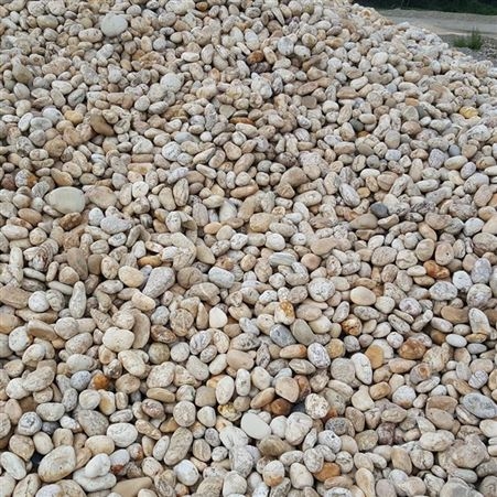 滤料污水处理多色鹅卵石 花卉园林造景鹅卵石
