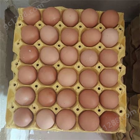 蛋托 再生纸浆鸡蛋托盘透气款 普通鸡蛋托 菜花黄 普黄 灰白
