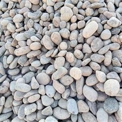 灵寿莫畏厂家供应 园艺铺路鹅卵石 机制卵石现货 量大从优