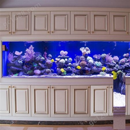 亚克力厚板观赏鱼缸 家庭观赏鱼缸定做含供氧系统