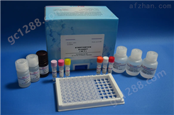 小鼠组蛋白脱乙酰基酶2（HDAC2）ELISA试剂盒