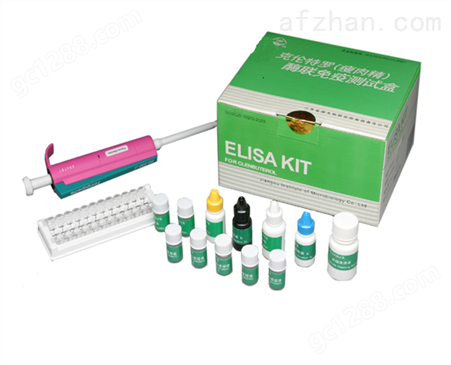 豚鼠γ干扰素（IFN-γ）ELISA试剂盒
